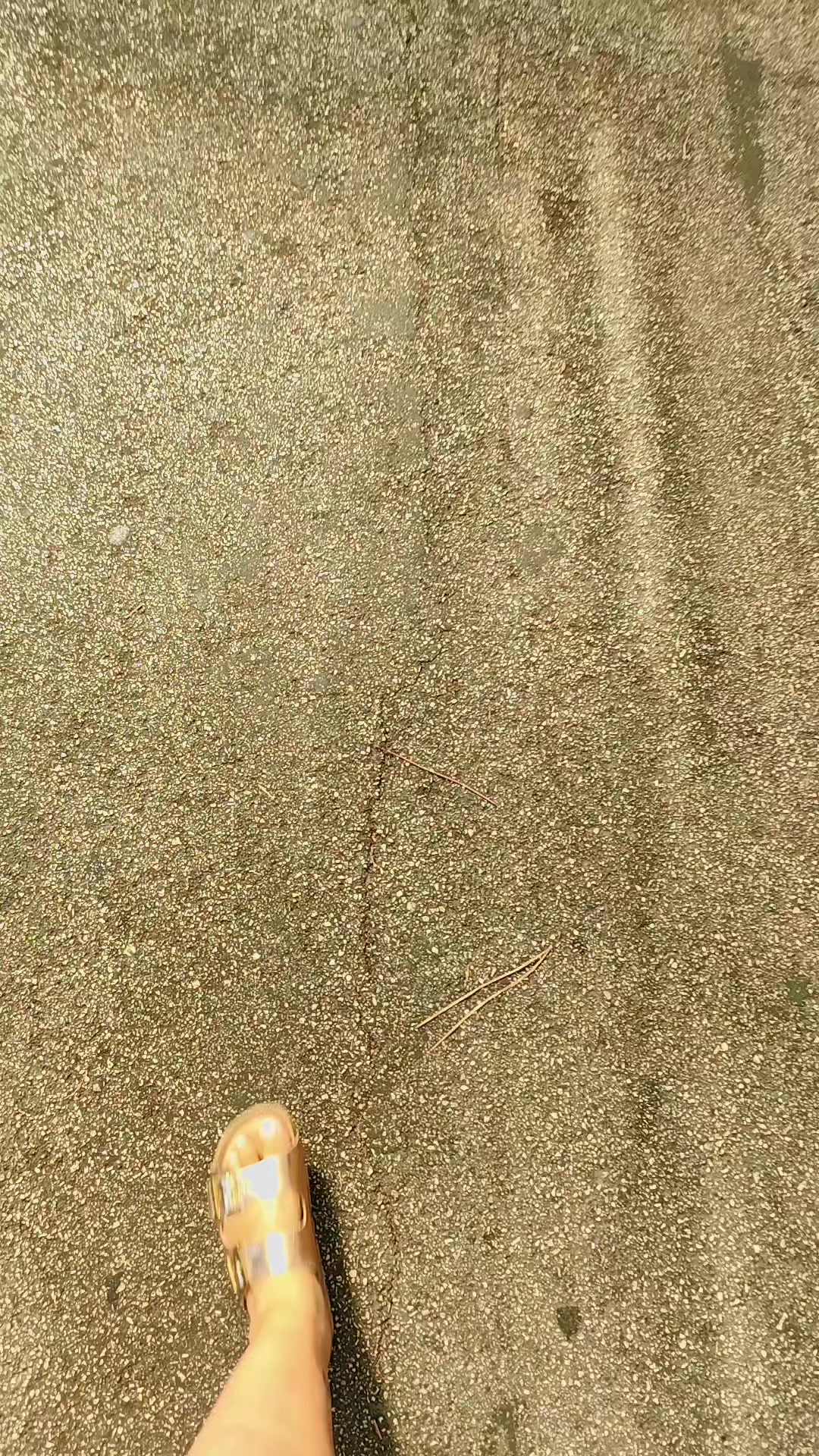 @Luisa Di Natale