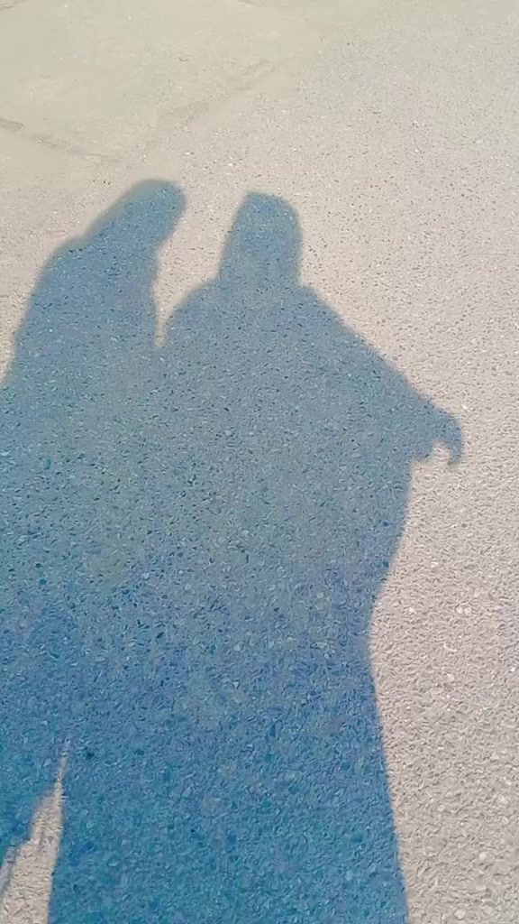 @Laiba pekhory🇵🇰❤️🇵🇰