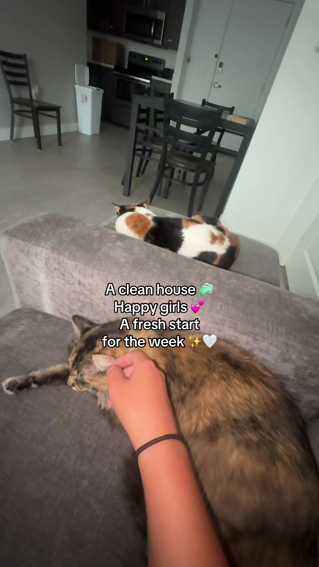 @Mimi