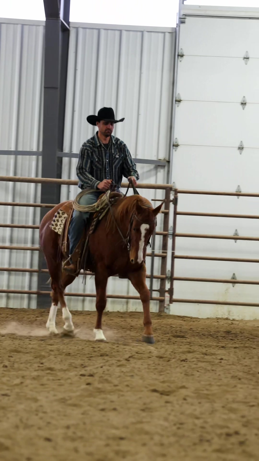 @88 Ranch Performance Horses