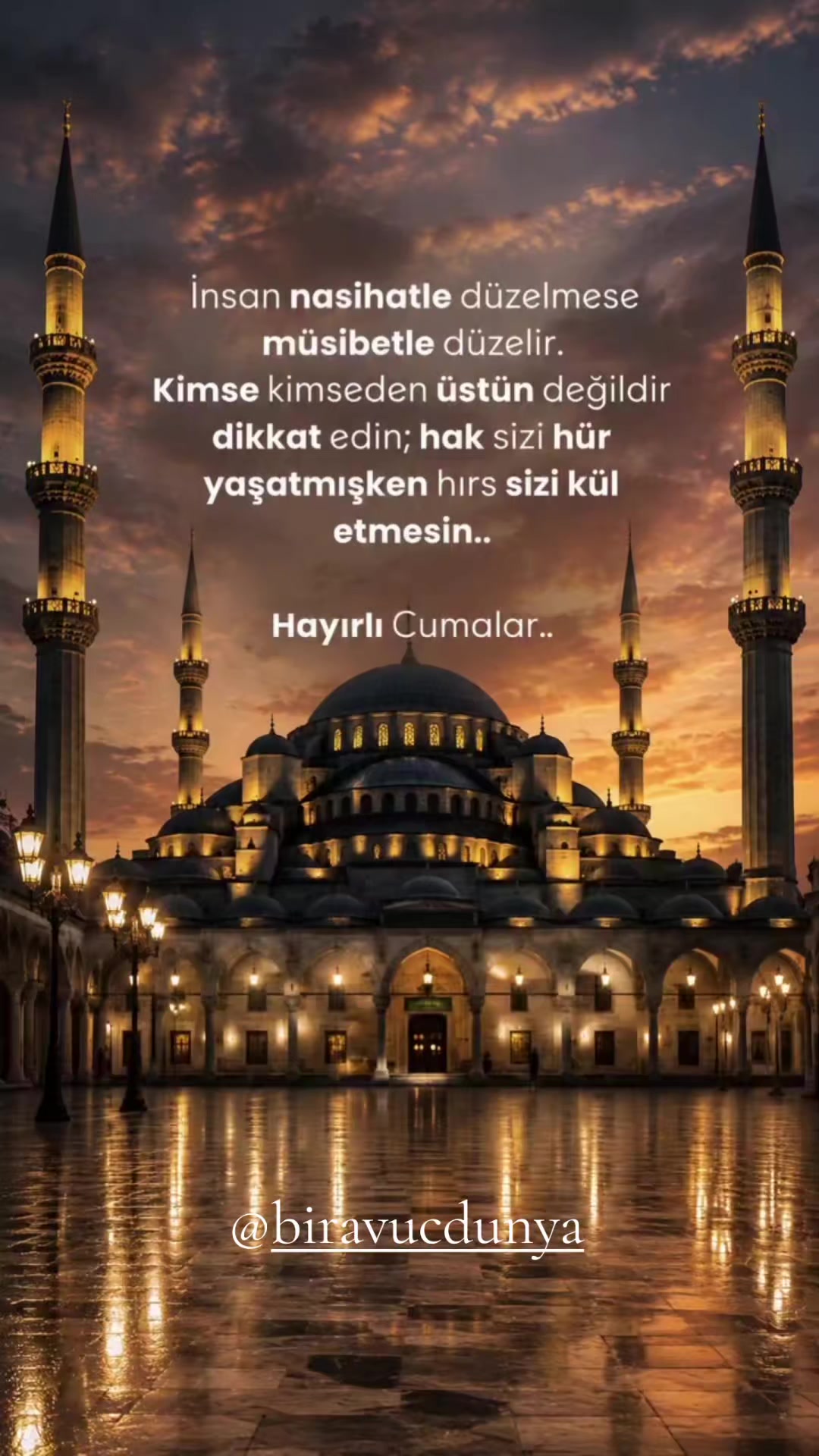 @biravucdunya
