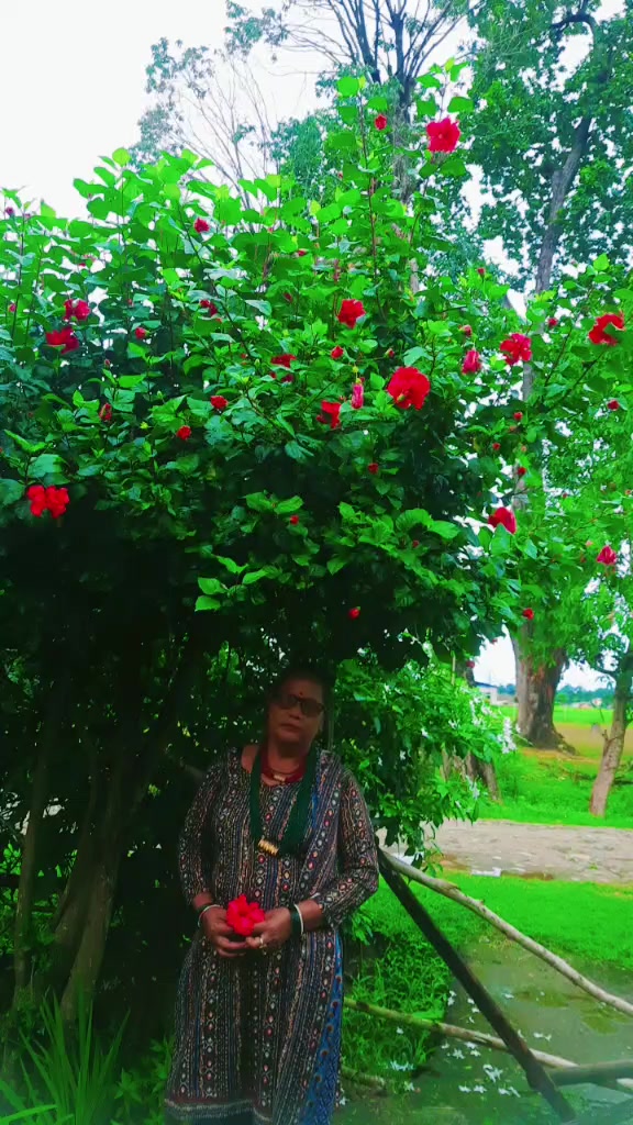 @Sita Devi BC🌼🌺