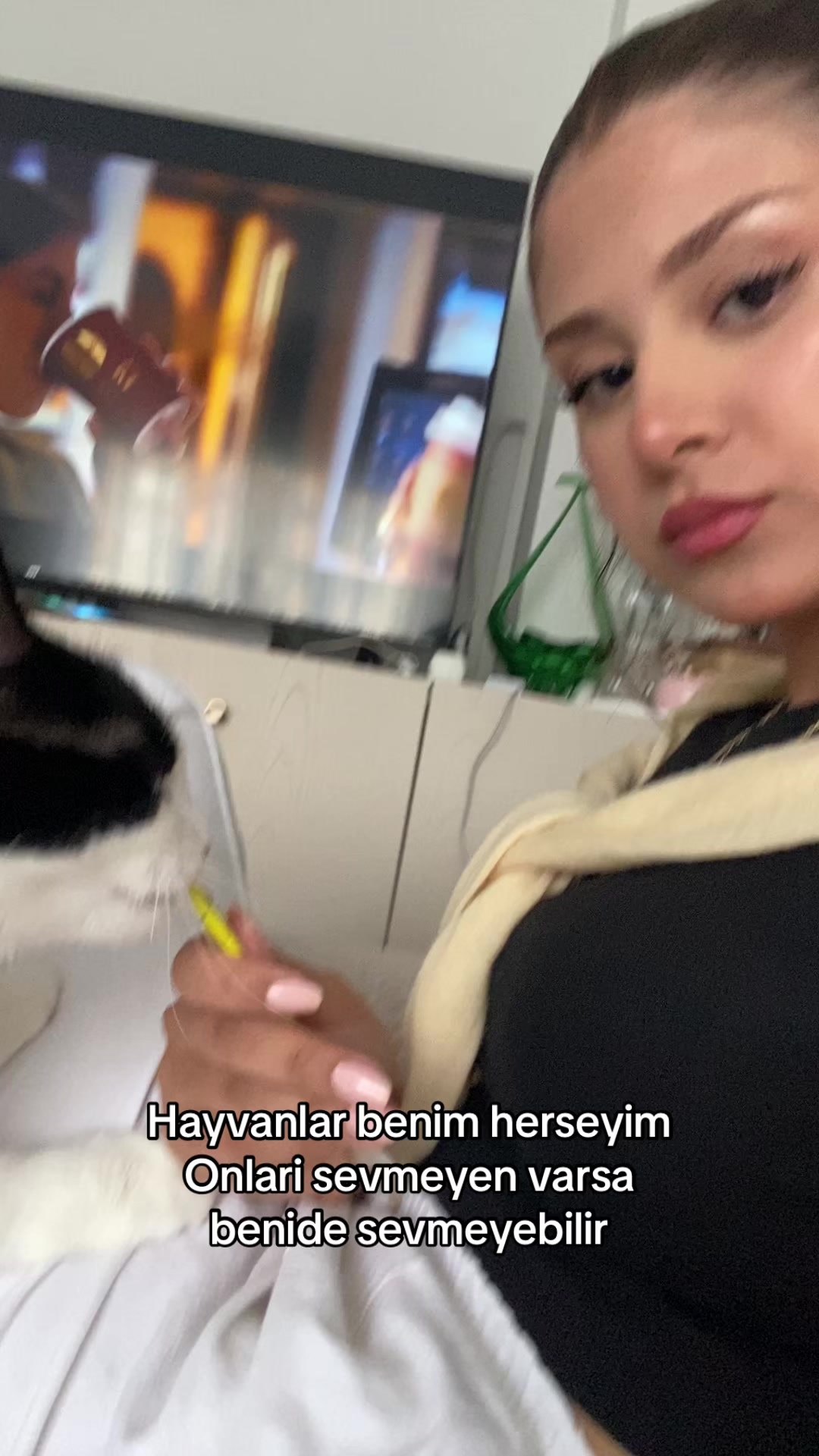 @Almina Z. Seziş