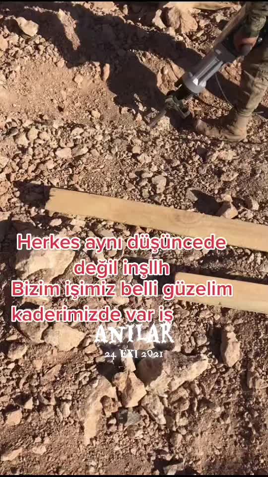 @Kalbim zengindir 😂Bozkurt 😎