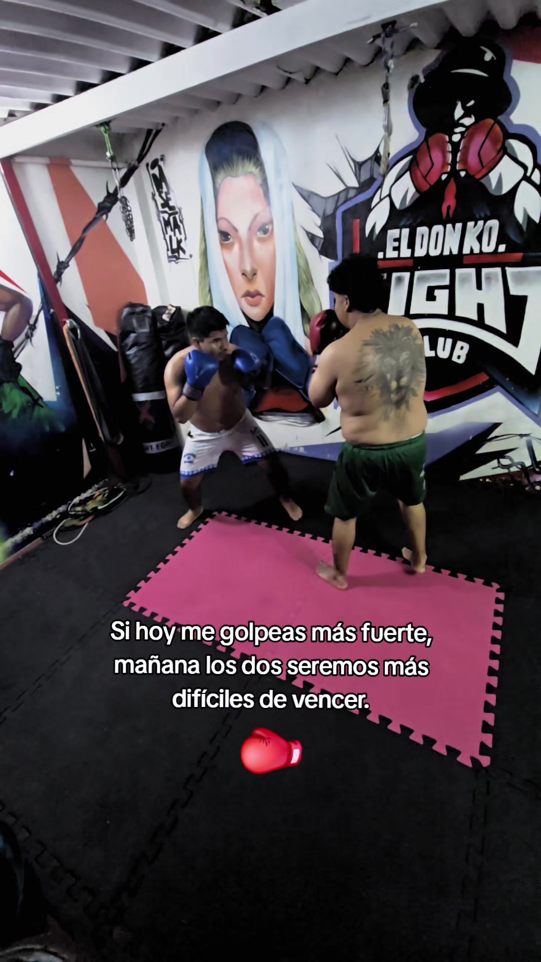 @EL DON K.O.🥊