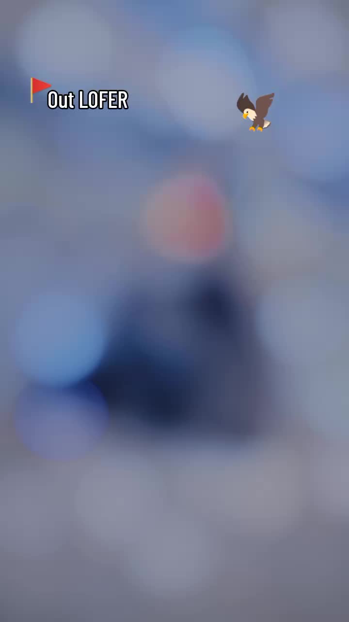@LOFER 313