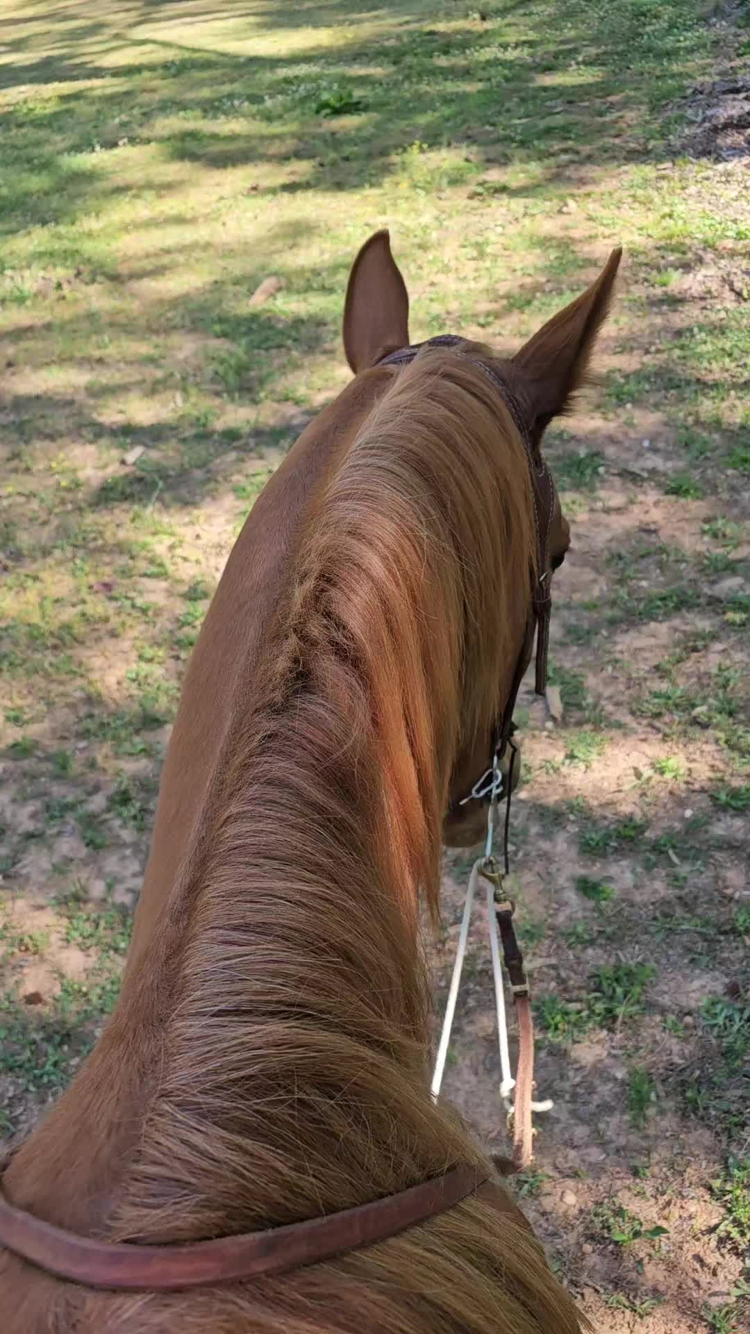 @southerncowgirl
