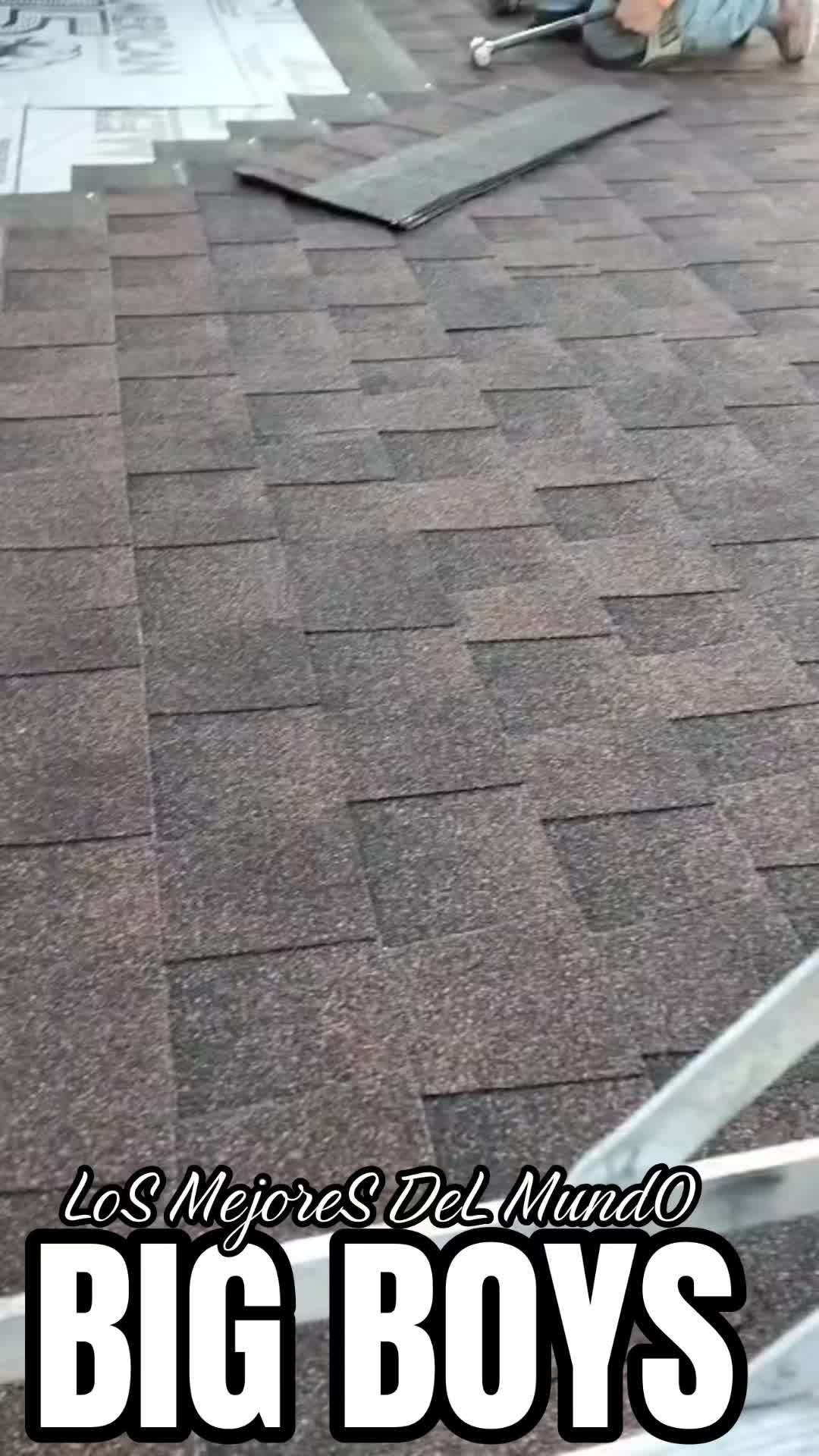 @CASA DEL SABOR EL DON TACO