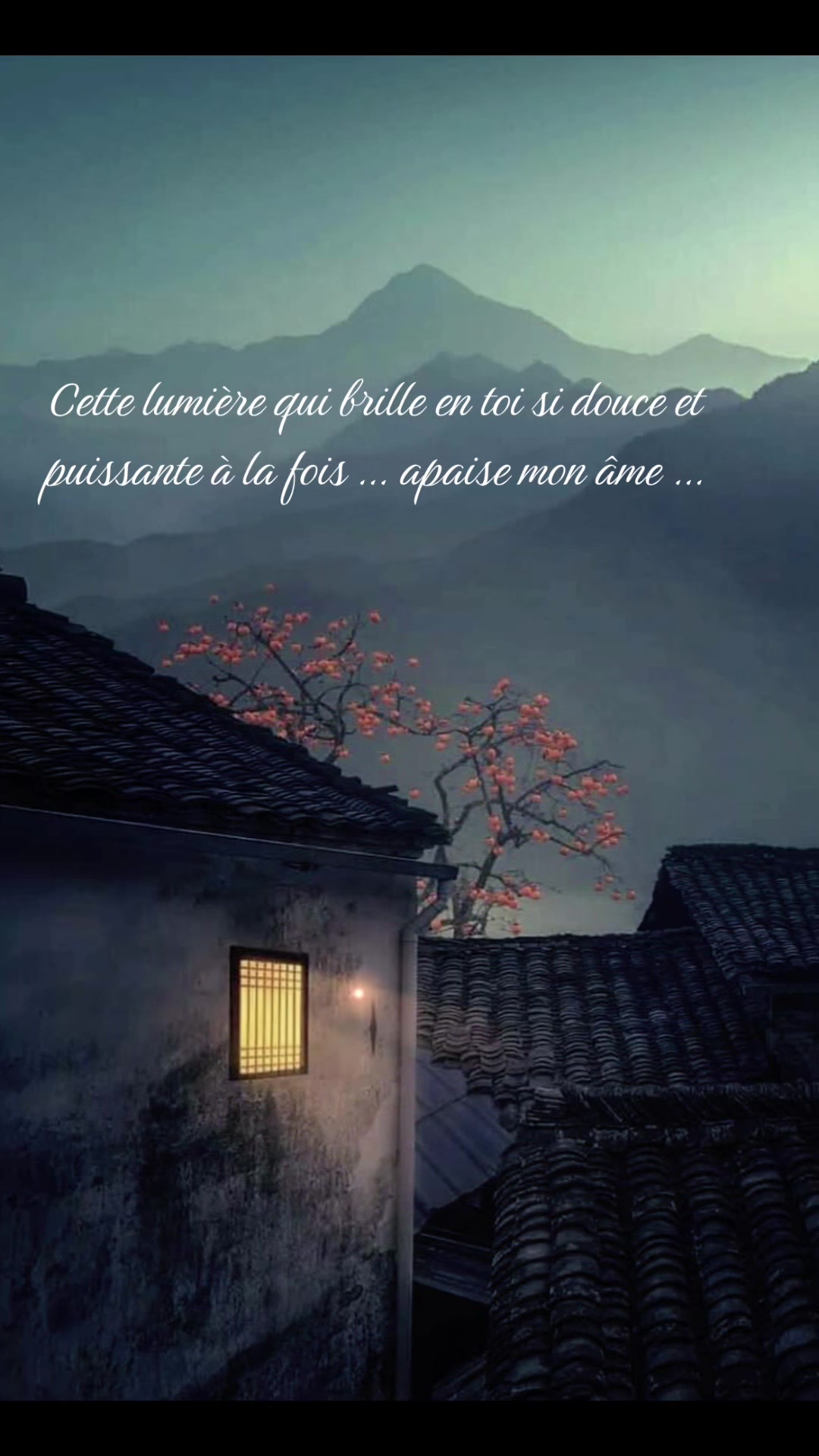 @Le Clin D&rsquo;Oeil Animal