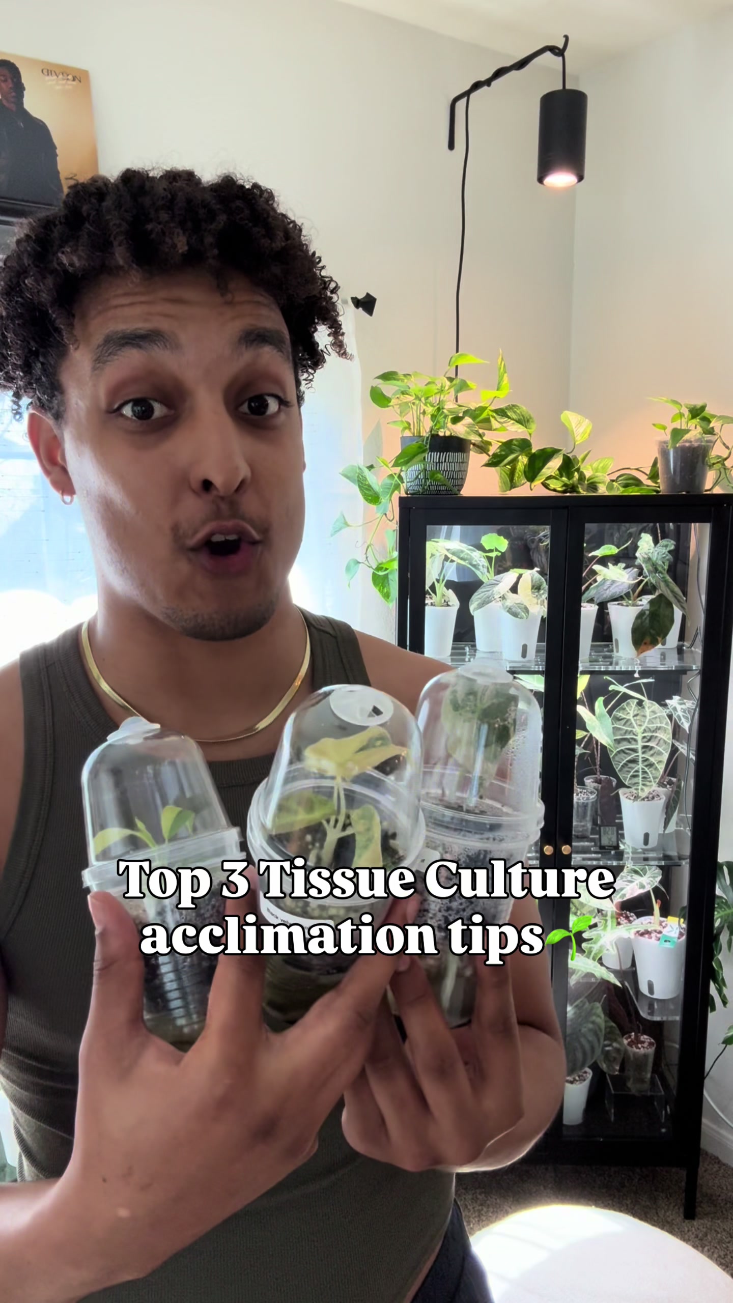 @RarePlantNinja