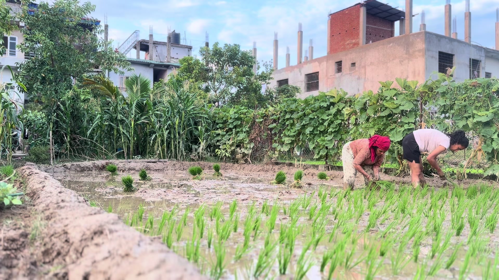 @𝑺𝒕𝒂𝒍𝒊𝒏𝒂 ✅️🇳🇵