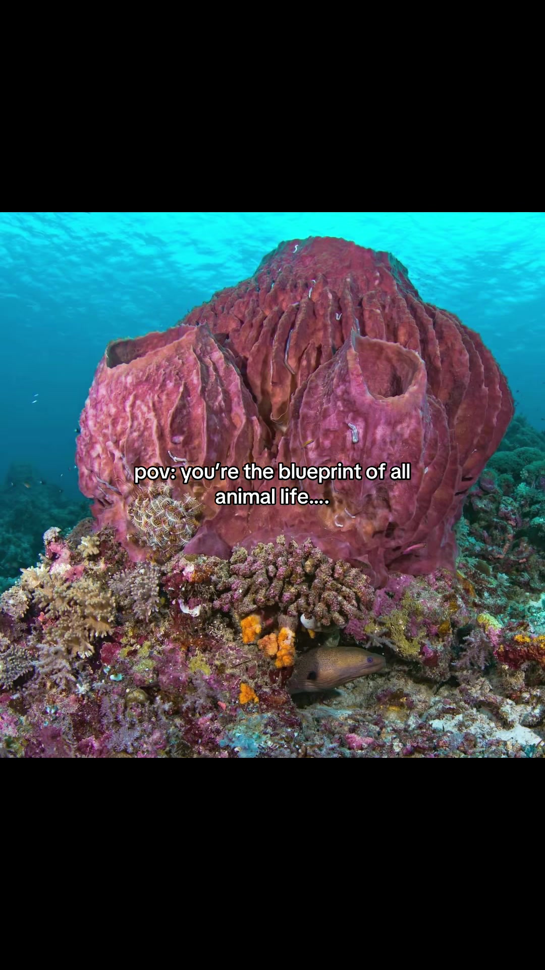@67historyfacts