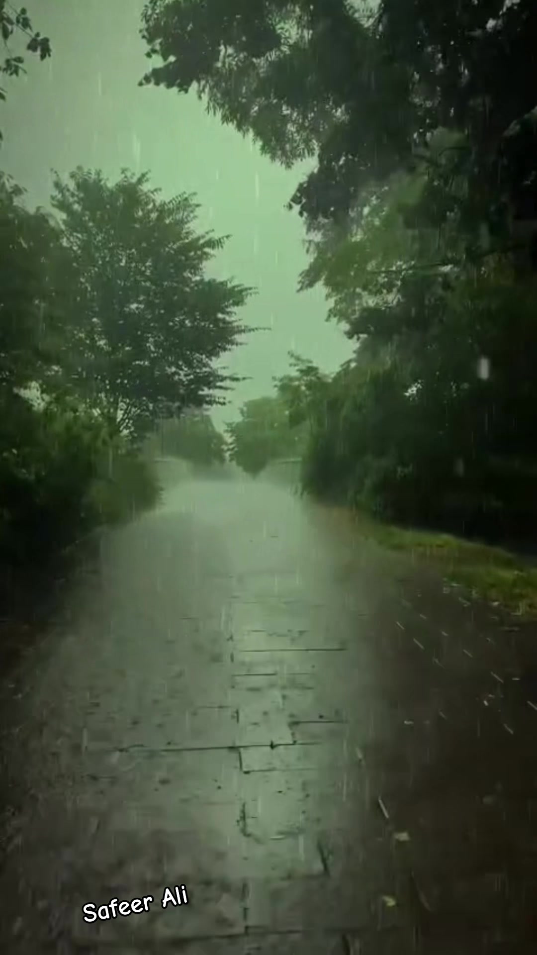 @Safeer Ali