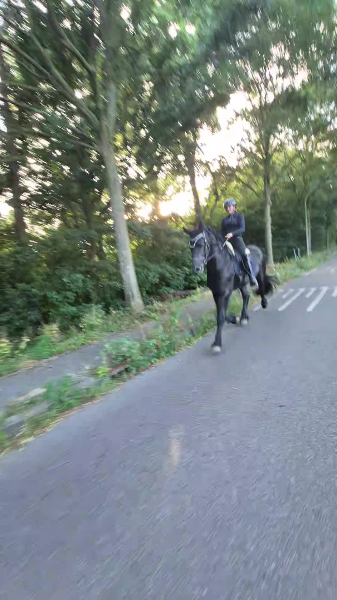 @🇳🇱Lana Van de schuur🇳🇱
