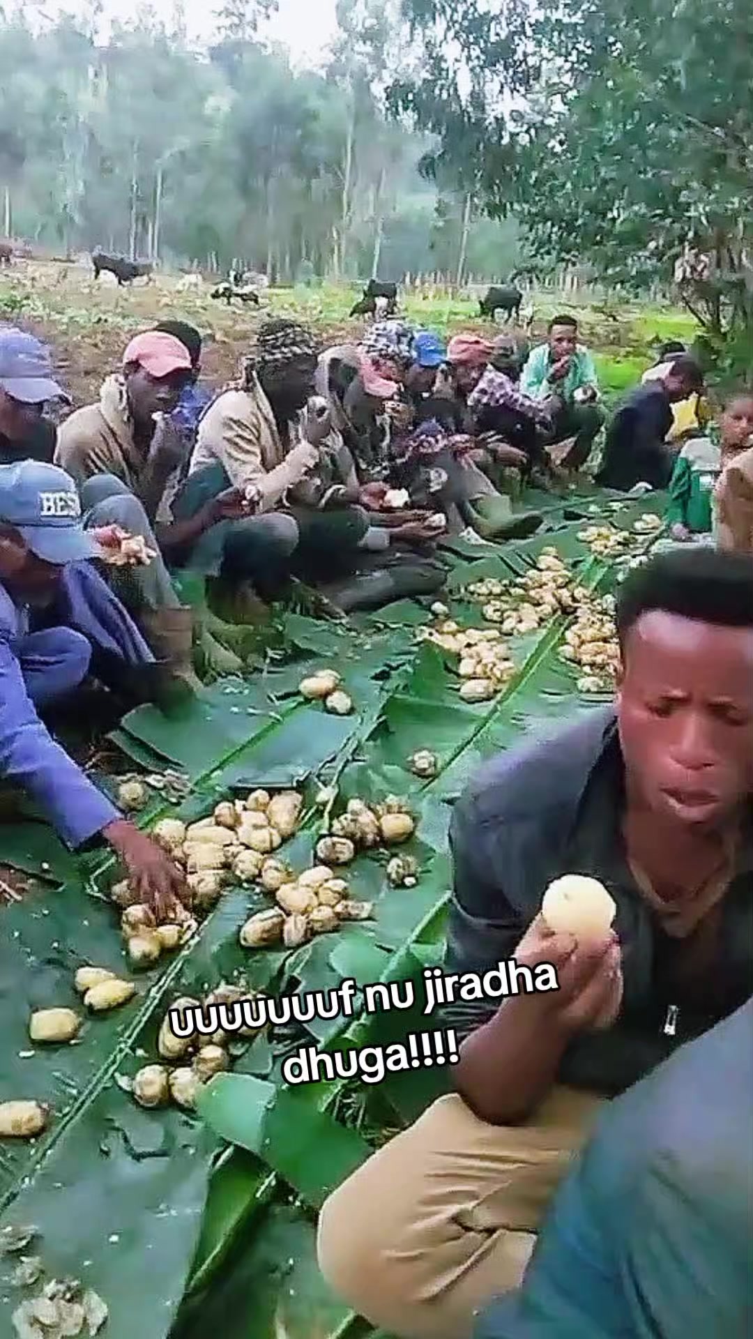@Gemta