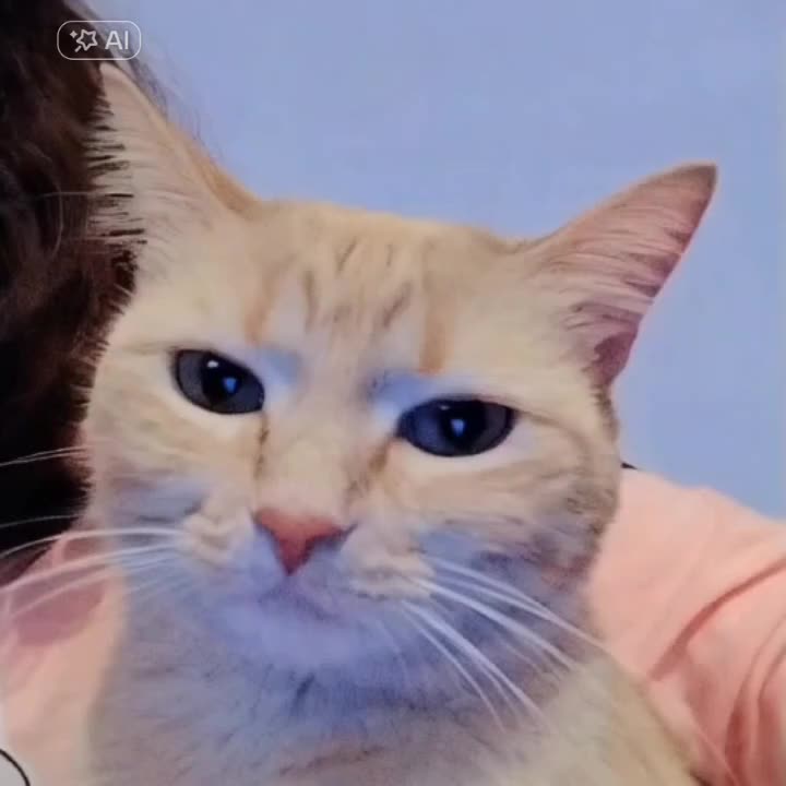 @Rosaaaaaa