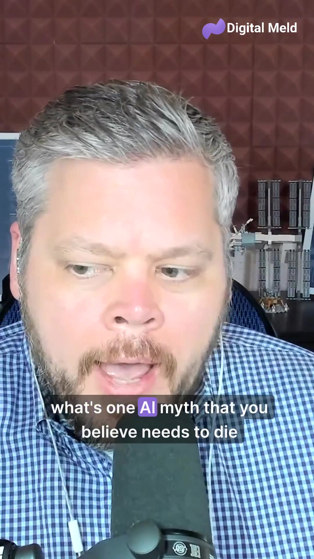 @Digital Meld