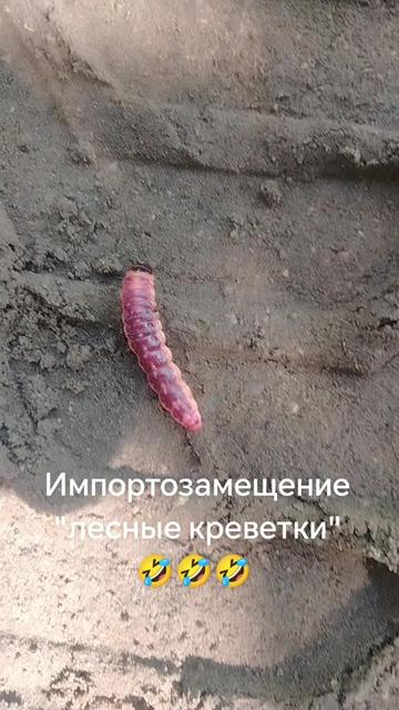 @Александр