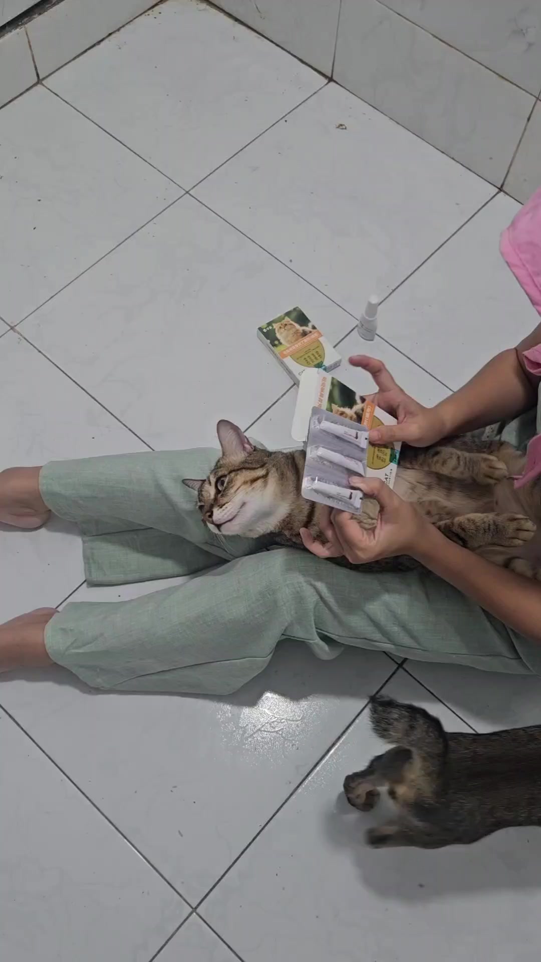 @Khế thúi