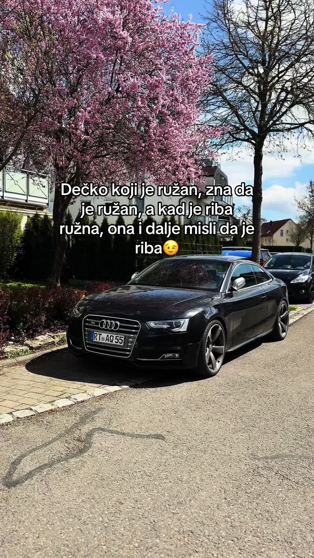 @Silvestar