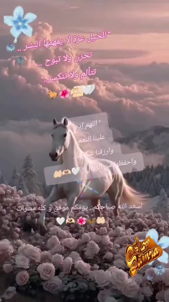 @🦅👑𓄂ᬼᬼ༻👑ⓈⒶⓂⓇⒶ👑༺𓆩♓𓆪