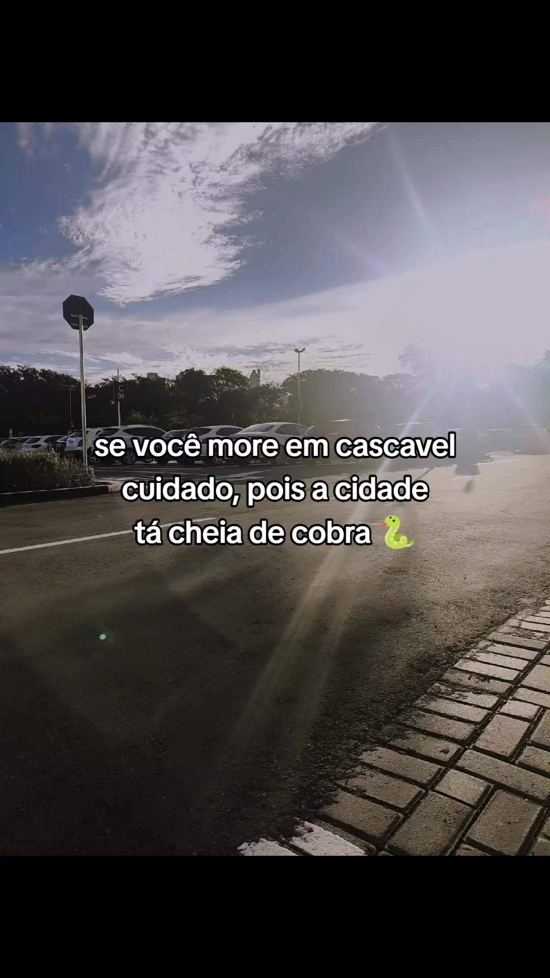 @00 de Cascavel 🐍