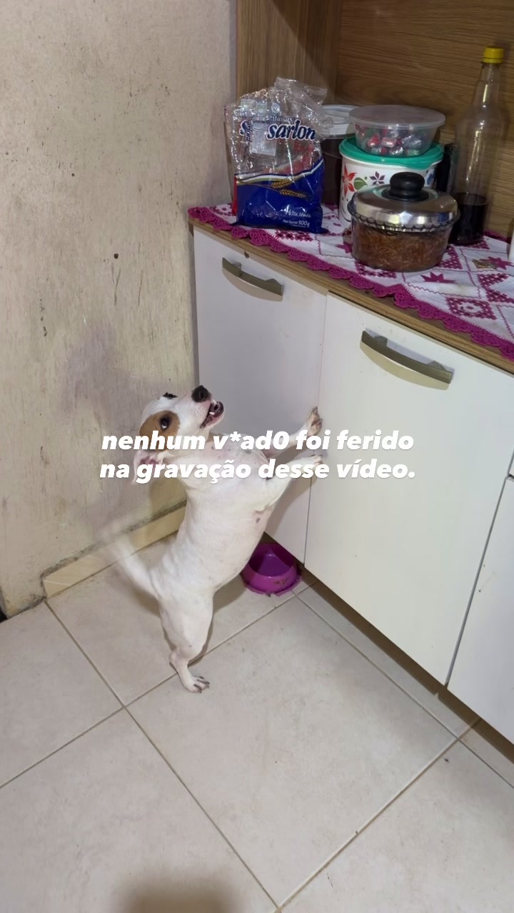 @dener matheus mantovaneli