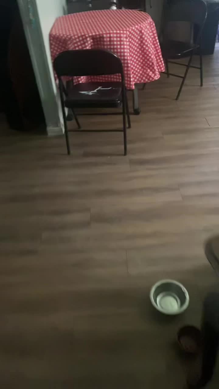 @MrSe&ntilde;or