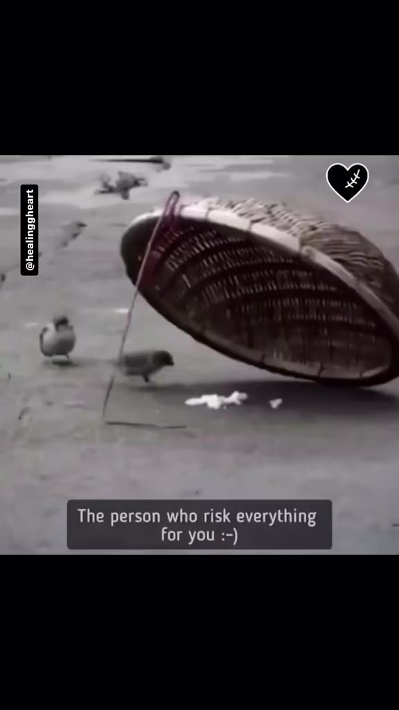 @ZI