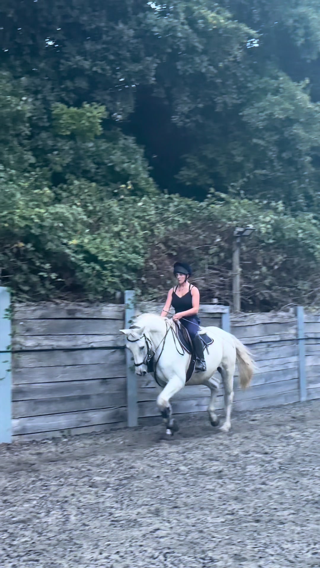@Equ🐎:all the gear no idea🫶✌️