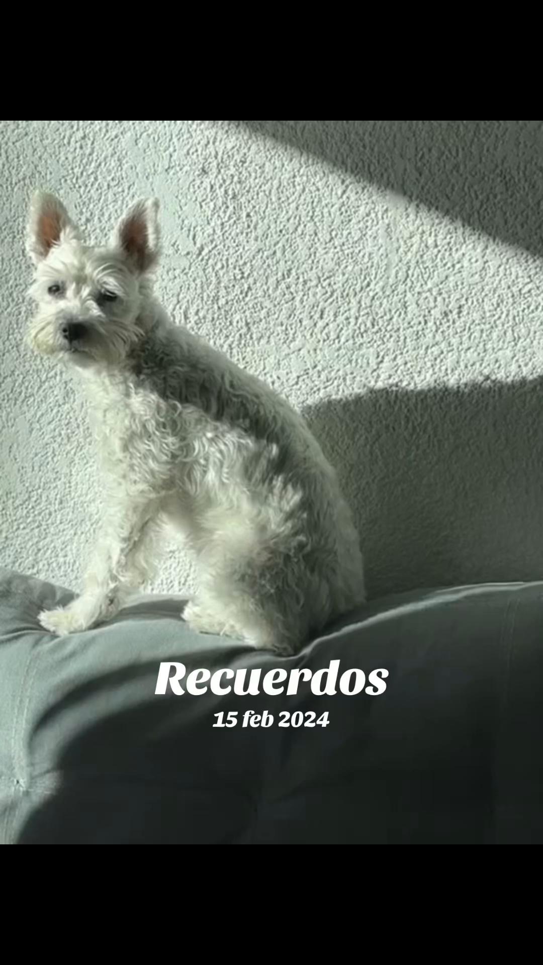 @😒Valentina Cue🥰