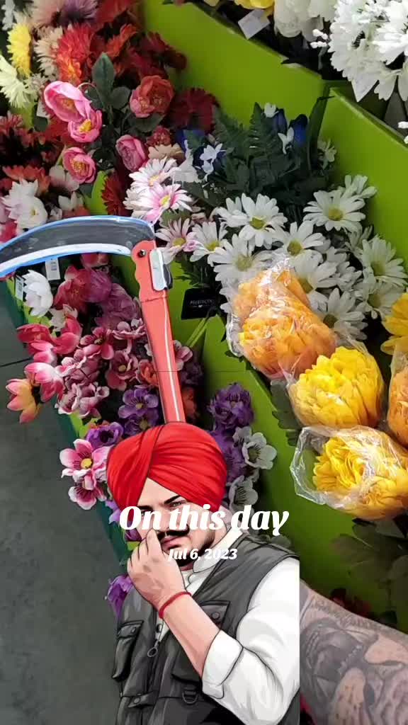 @kamal dhindsa
