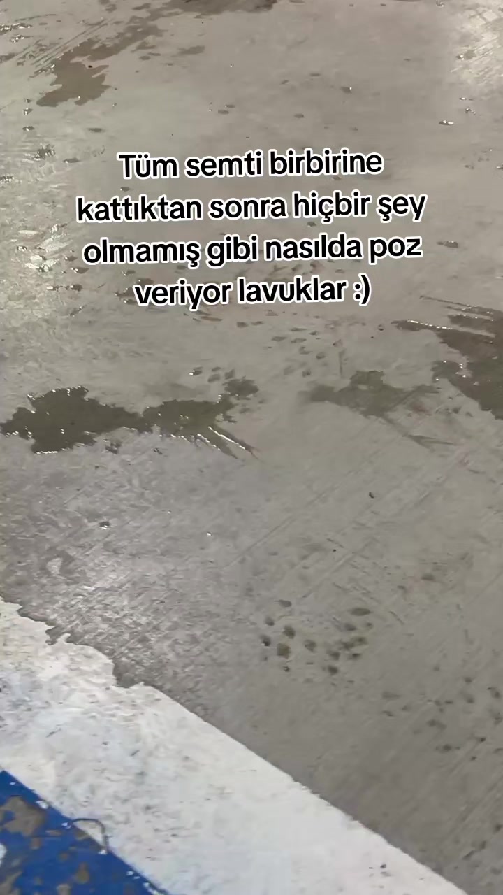 @MOTOAR37