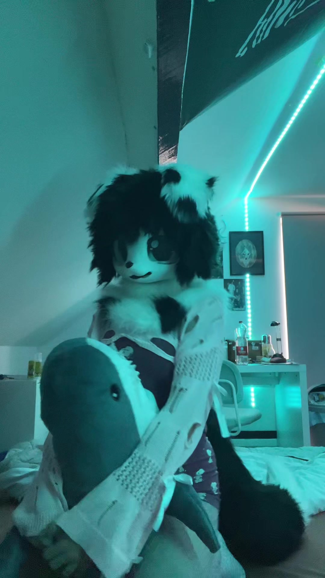 @🐾koddyyyyy🐾