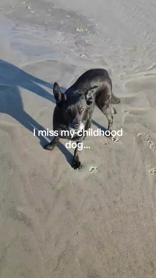 @⭐️