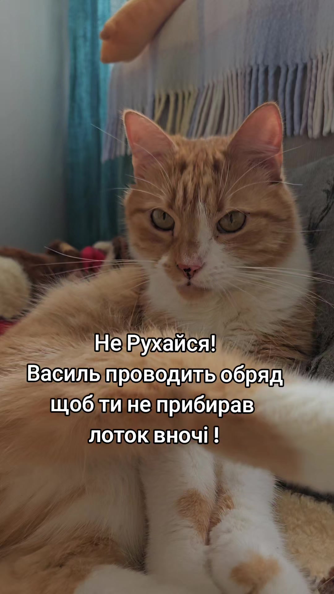 @Vasyl~Havniuk