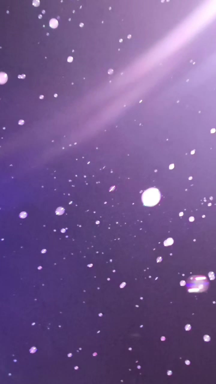 @⚘️ Monique ⚘️