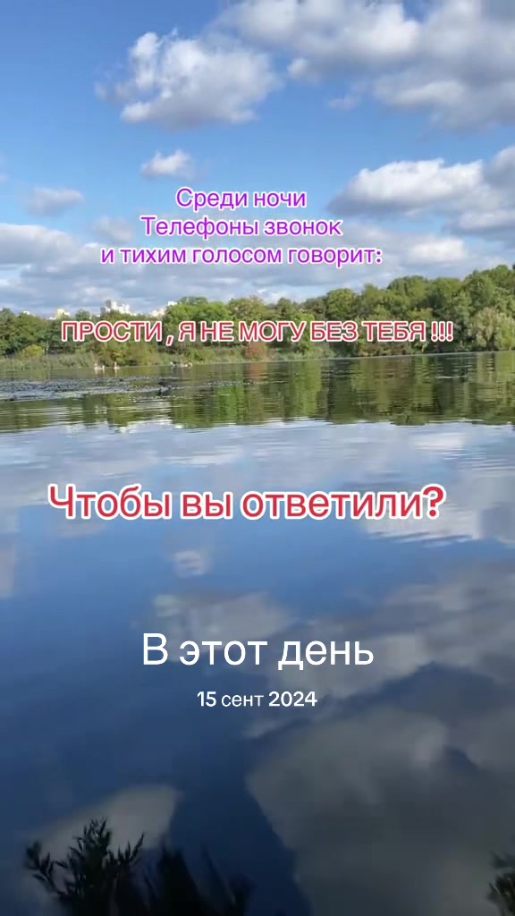 @leonri71
