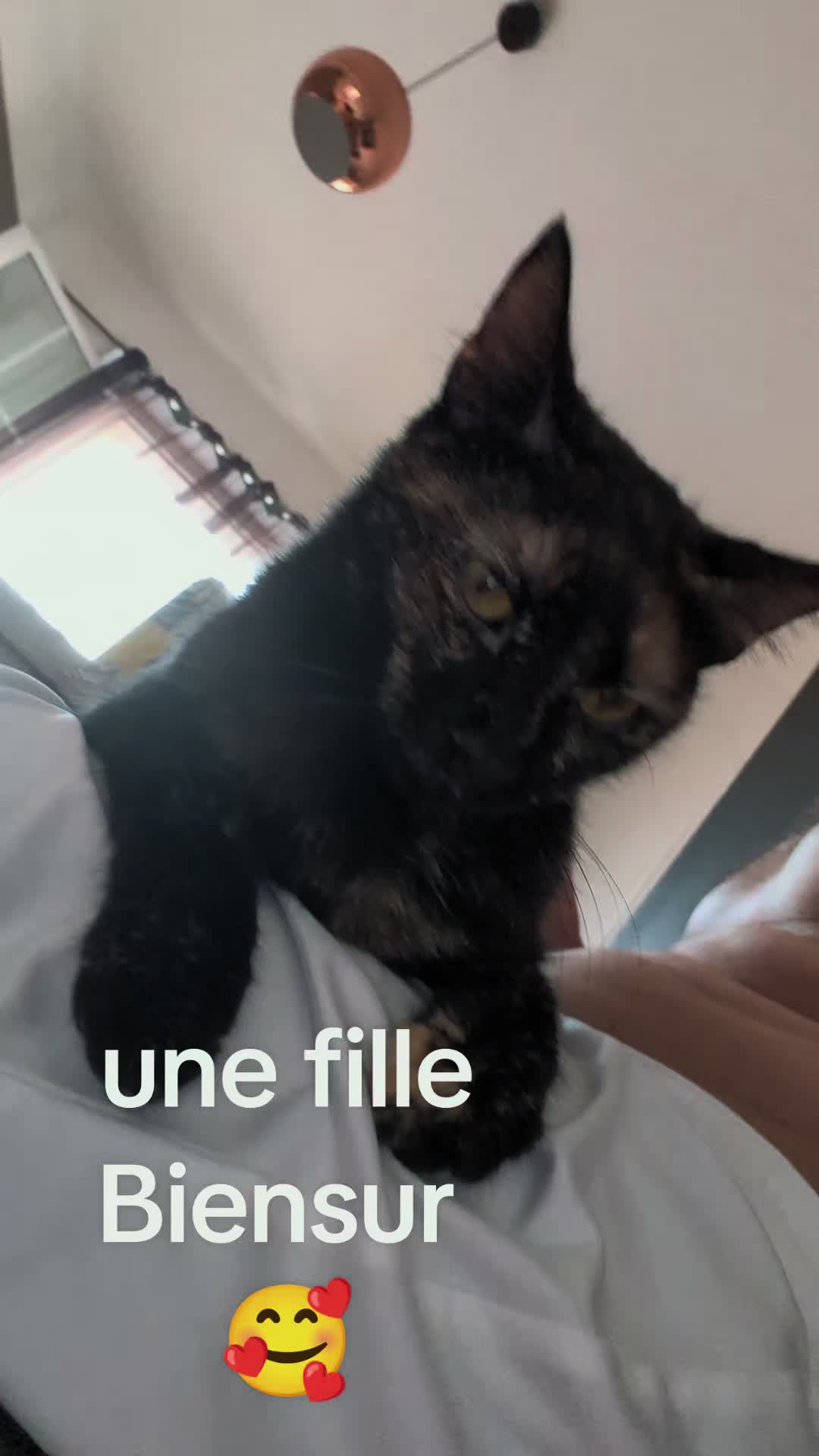 @nilem