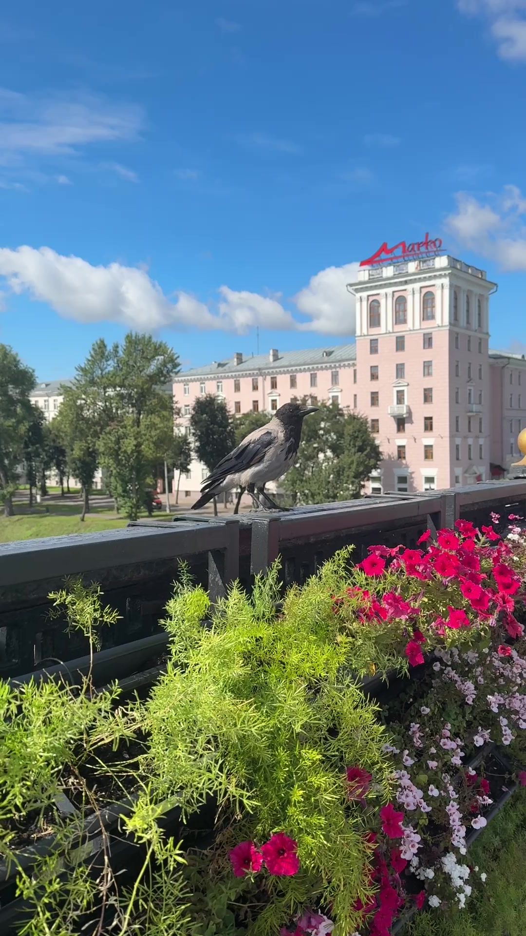 @Люся Воронцова