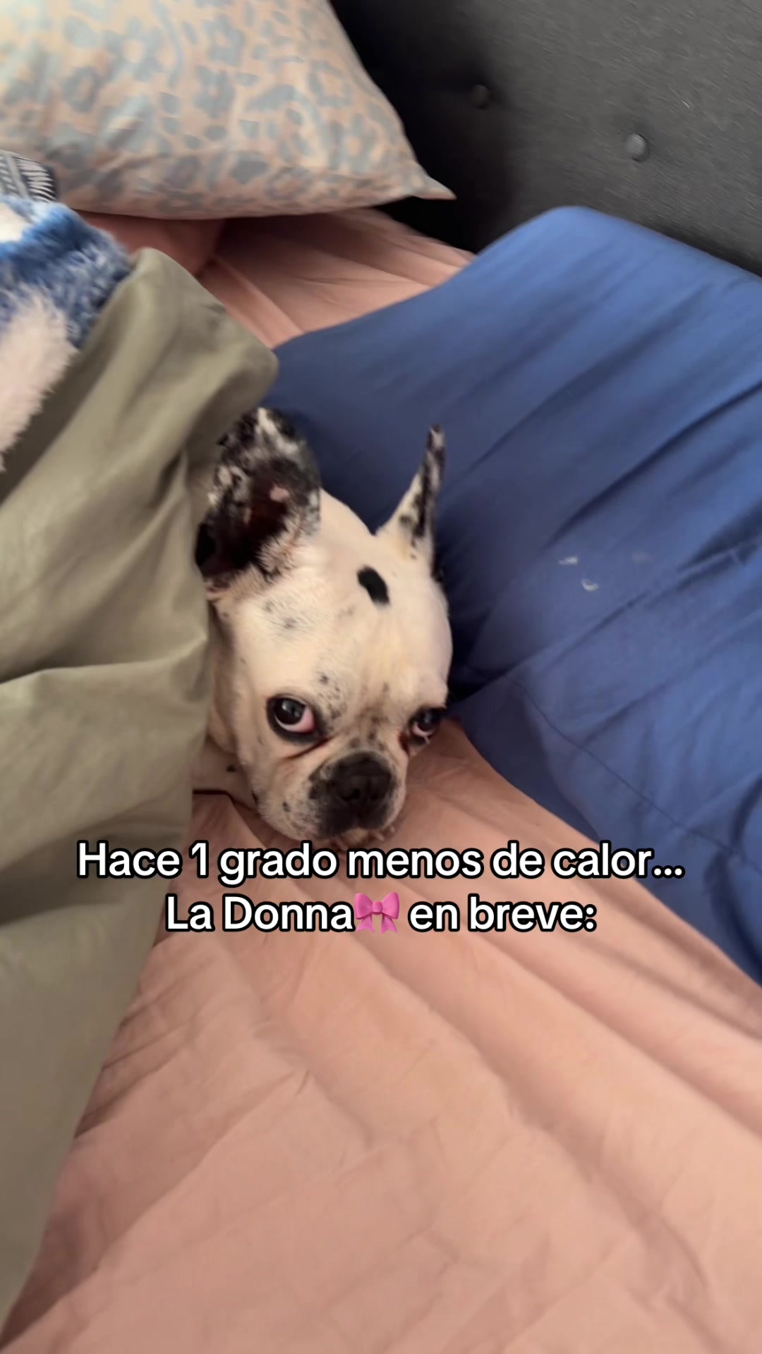 @Luis Hernán
