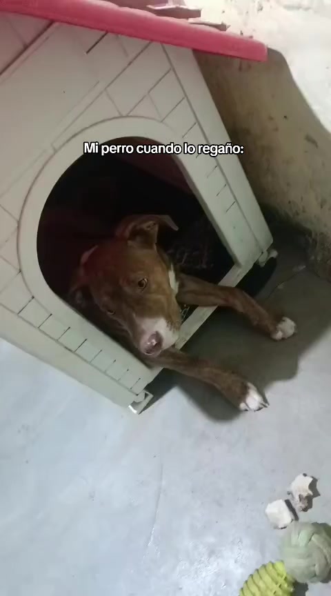 @️Noe:)