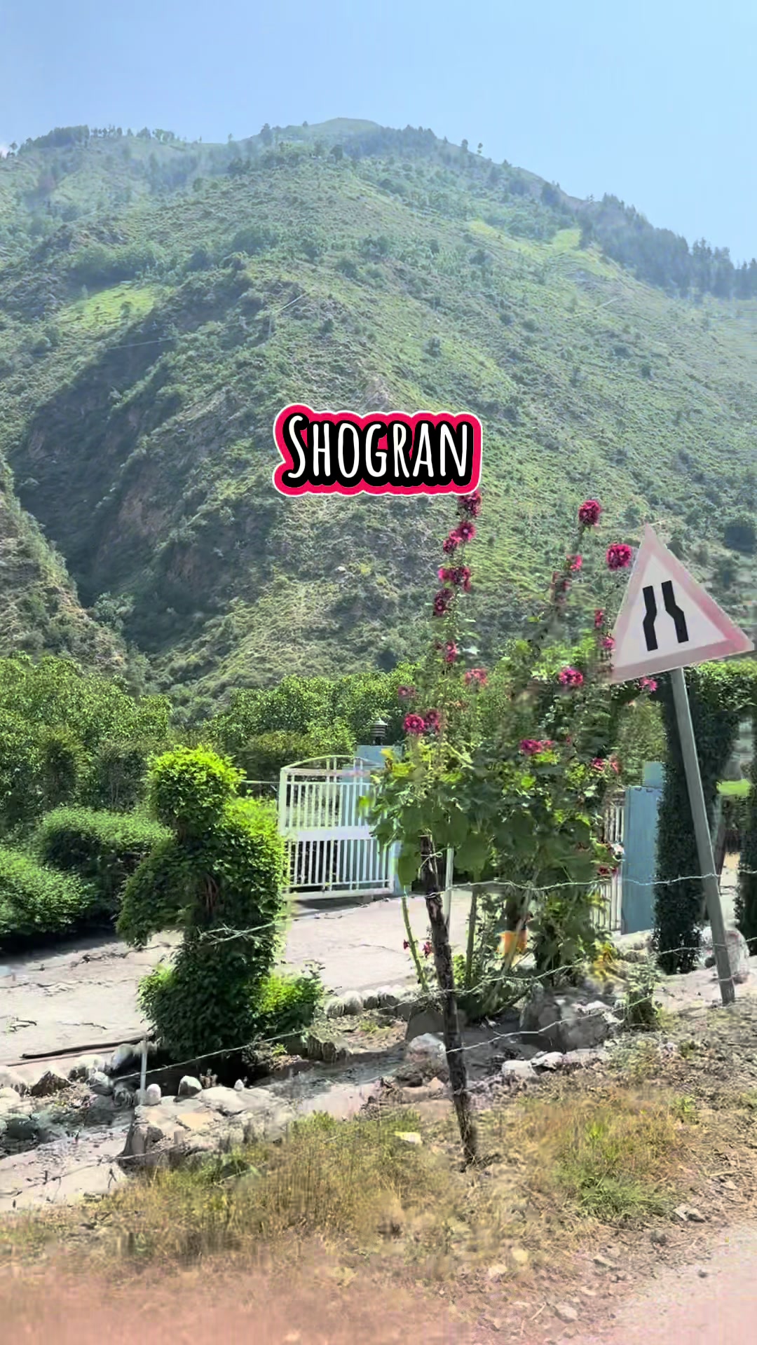 @Shan_zil🍂