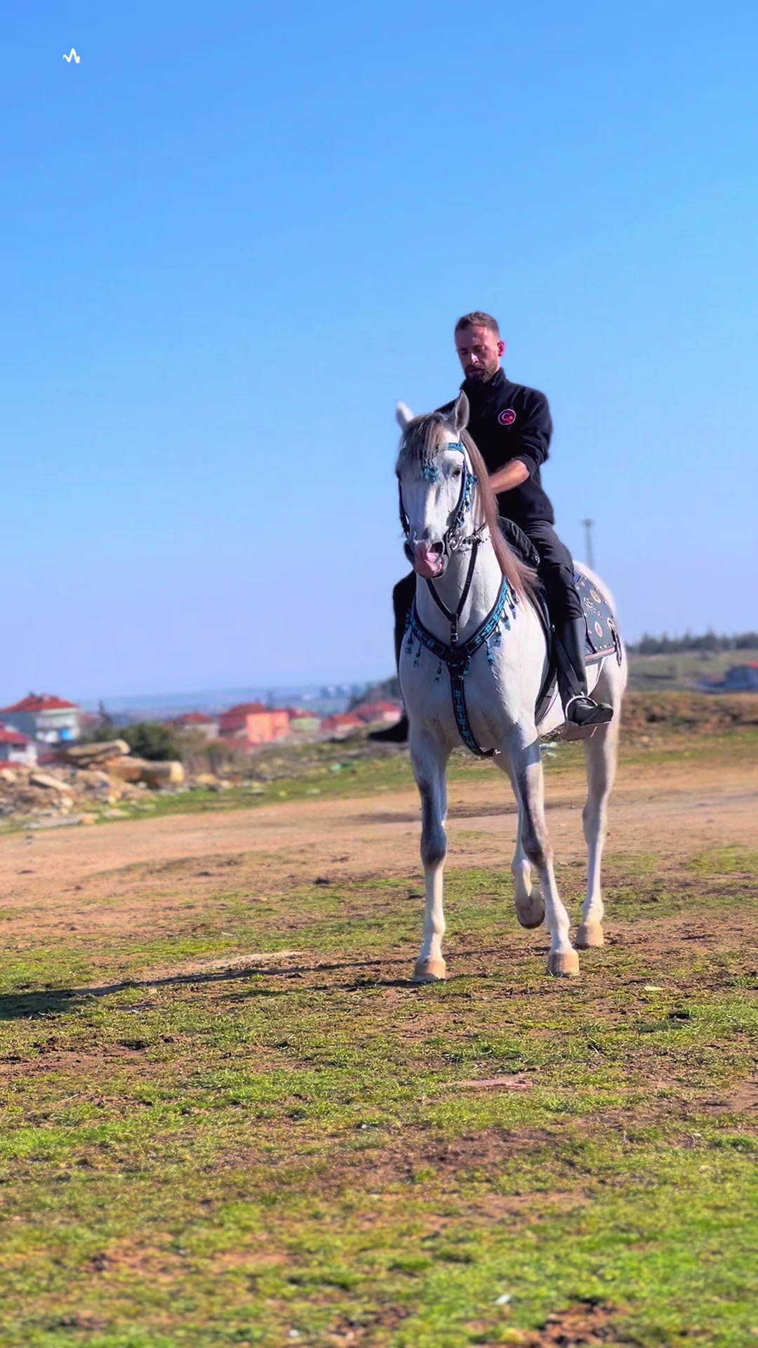 @Emre Kuş