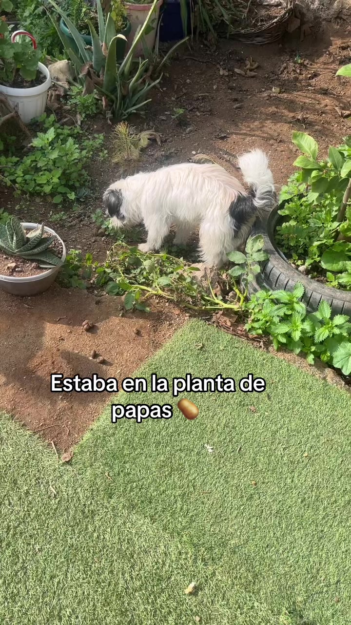 @Esthy la de siempre
