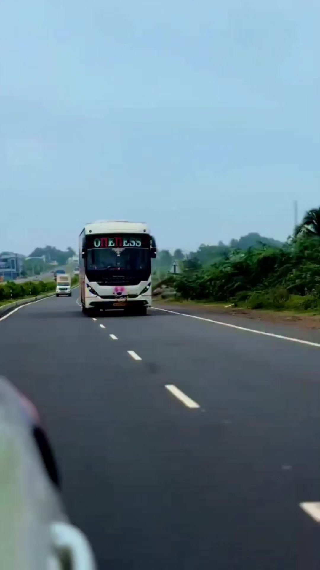 @🔥🔥🔥தஞ்சை ராஜா🐱🐱🐱💜💜💛💛