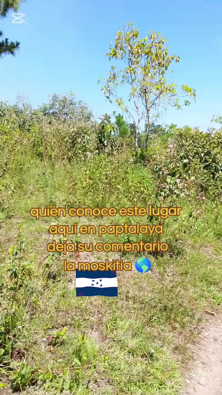 @Tu moskito TV Marlon 🌎🇭🇳🆗