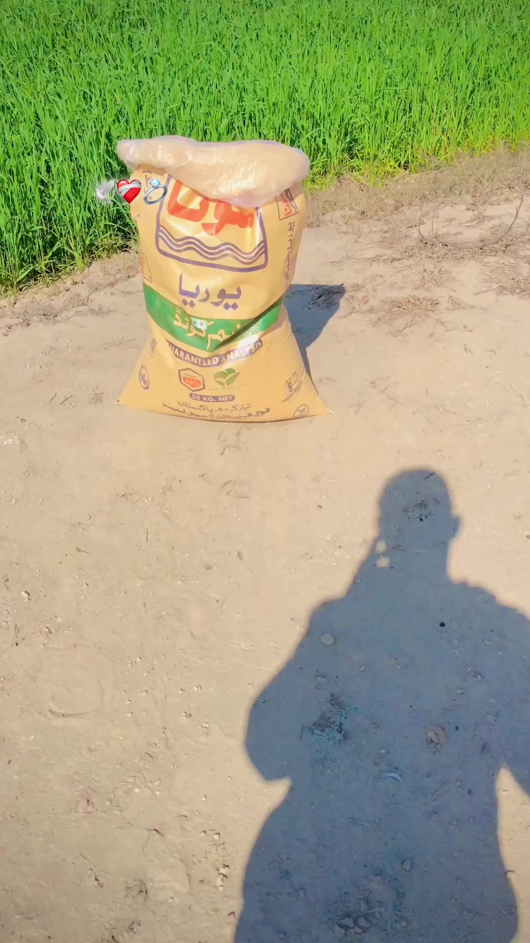 @🌿ینگ فارمر🐄