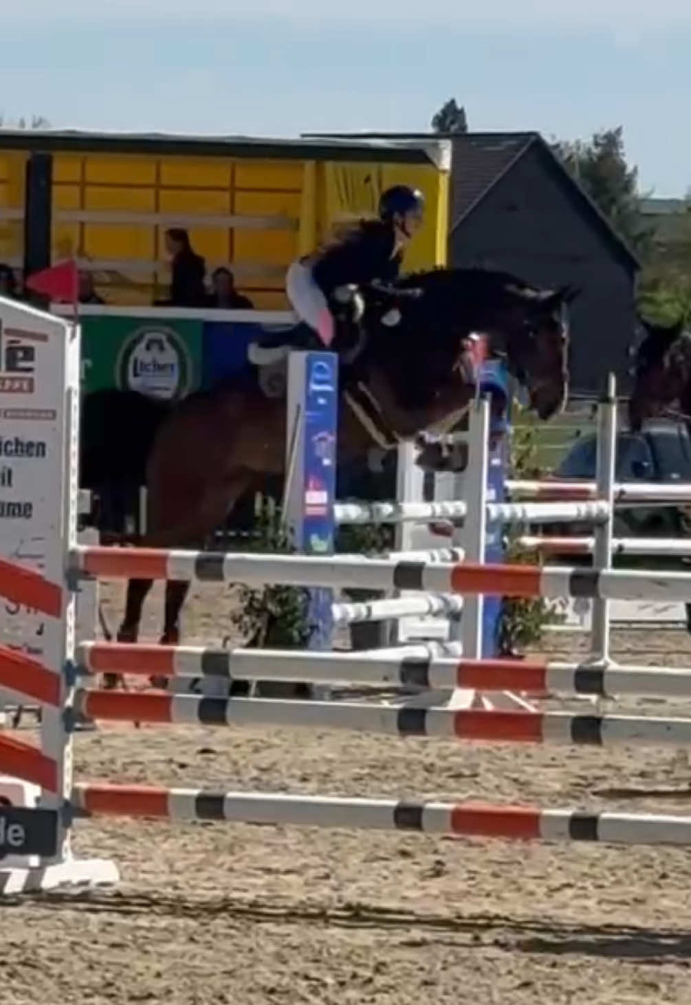@La.Dolce.Horses