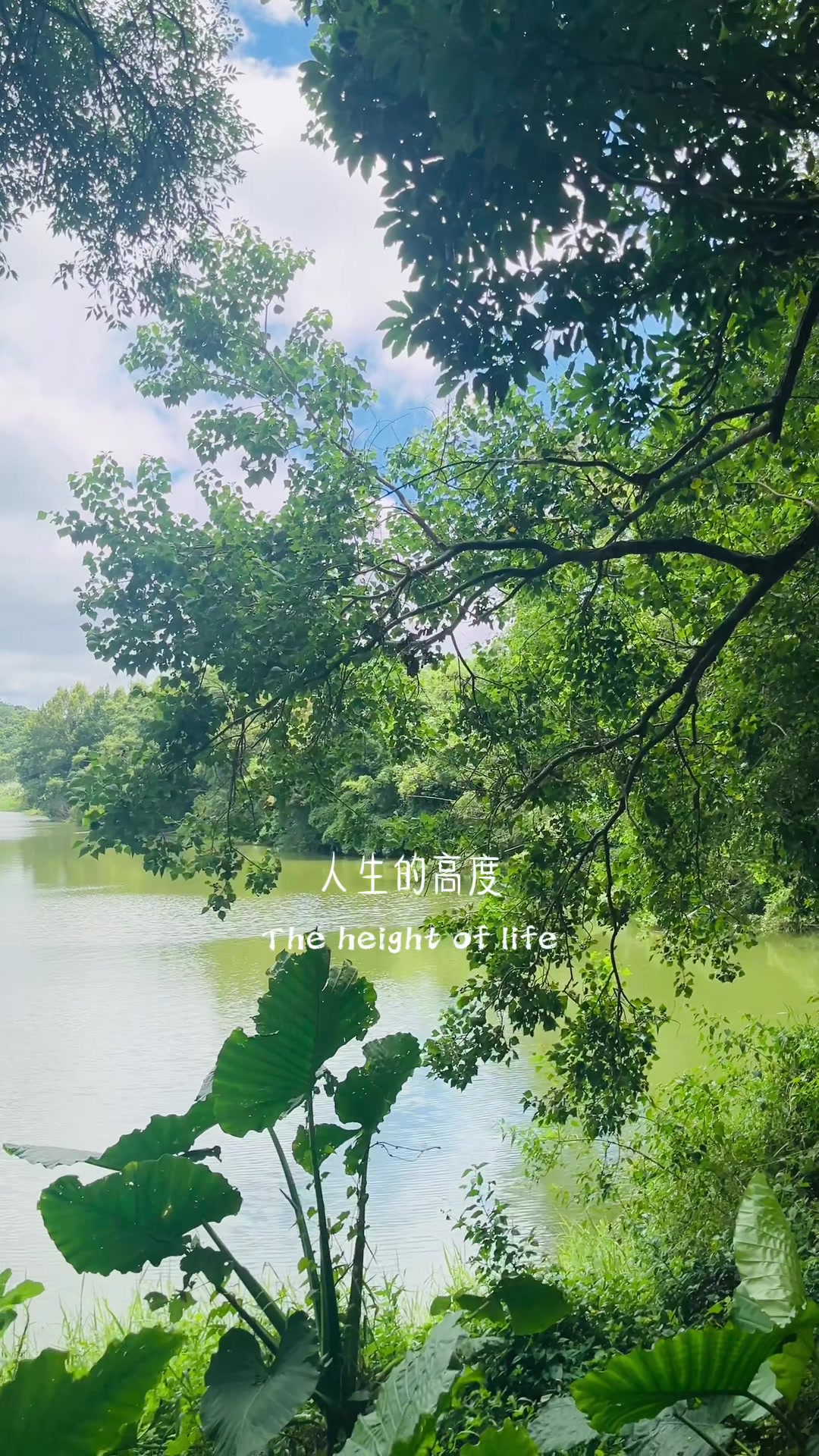 @🐈肥貓水上飄